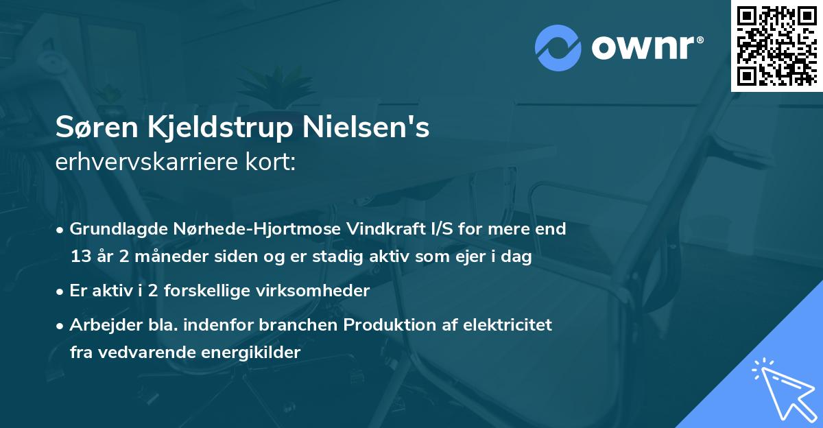 Søren Kjeldstrup Nielsen's erhvervskarriere kort