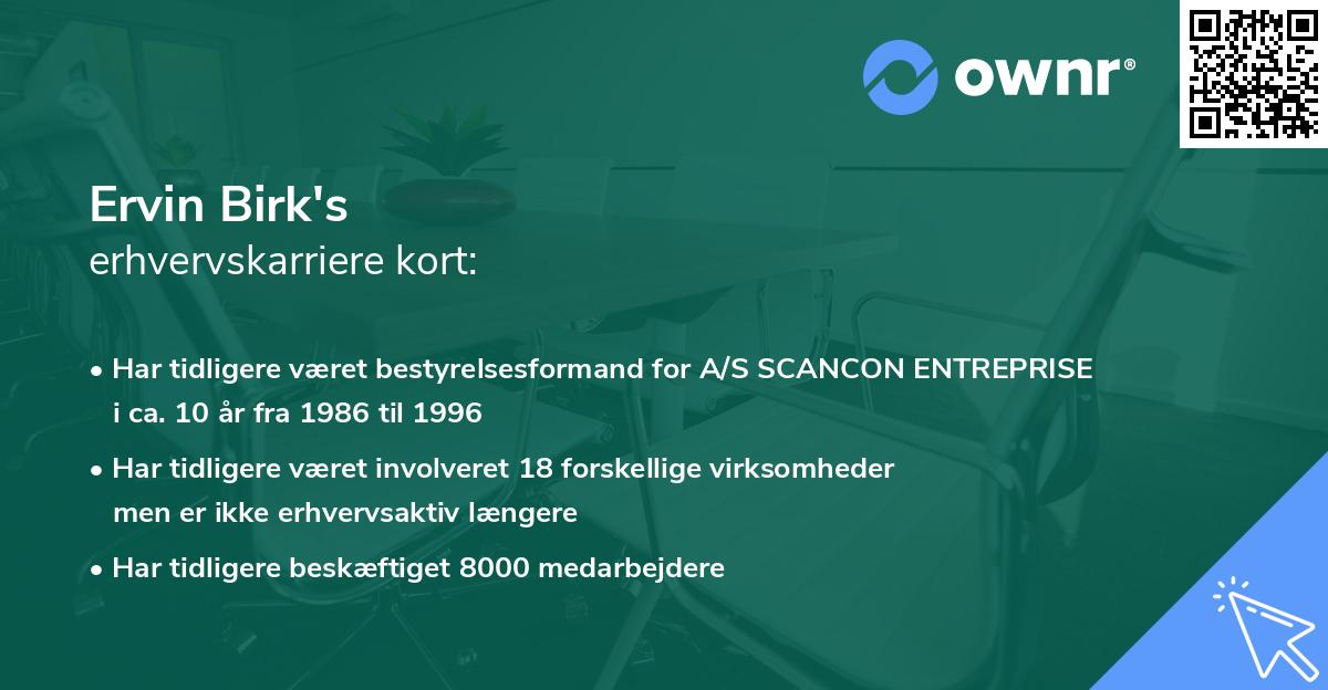 Ervin Birk's erhvervskarriere kort