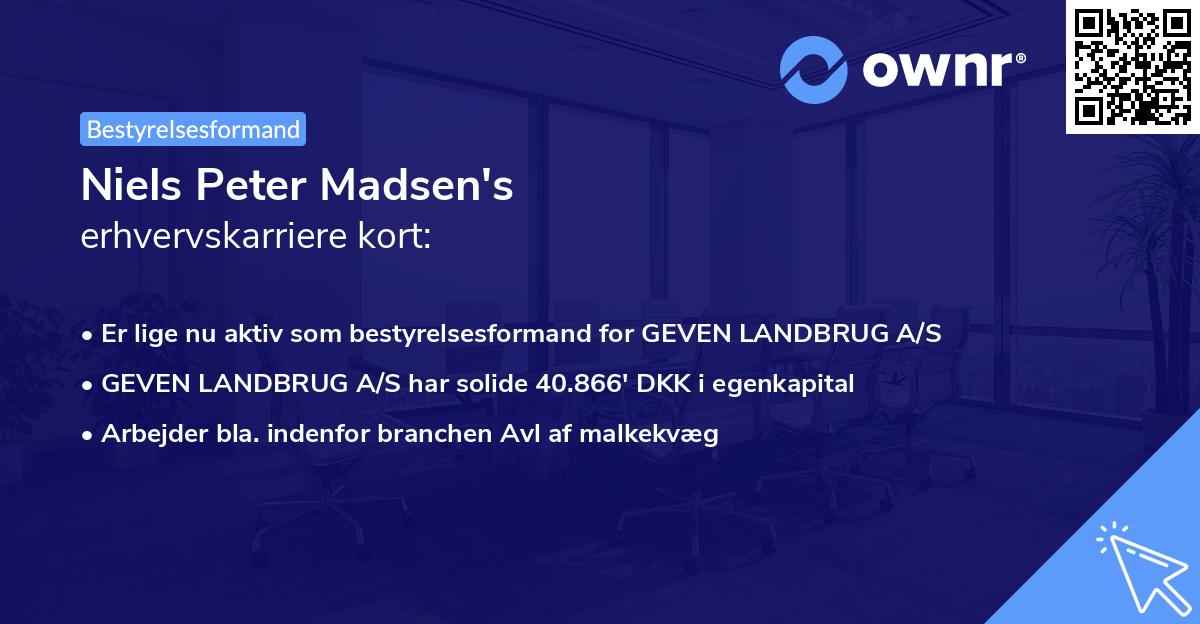 Niels Peter Madsen's erhvervskarriere kort