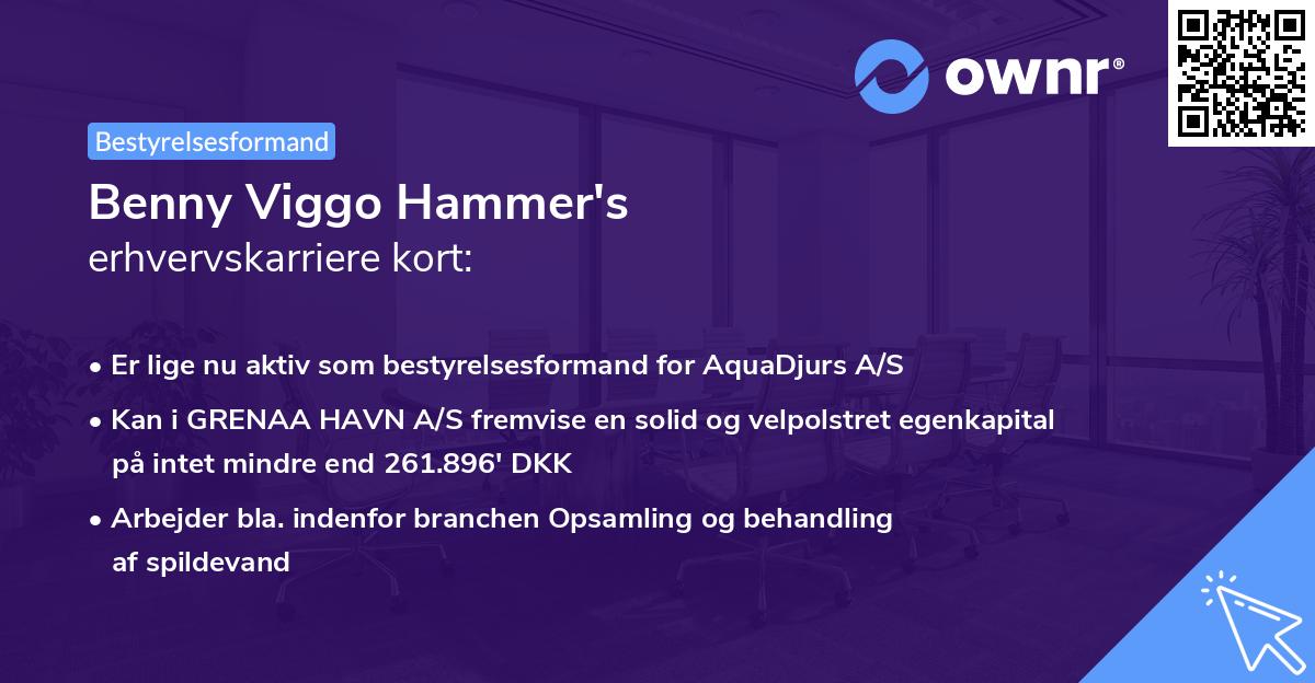 Benny Viggo Hammer's erhvervskarriere kort