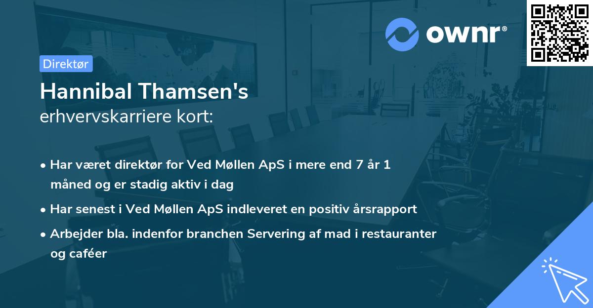 Hannibal Thamsen's erhvervskarriere kort