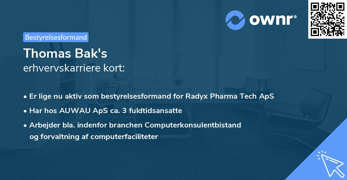 Thomas Bak's erhvervskarriere kort