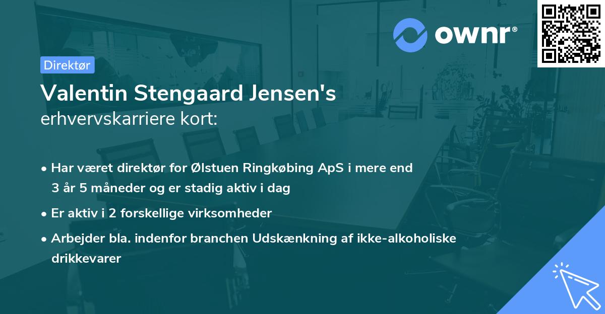 Valentin Stengaard Jensen's erhvervskarriere kort