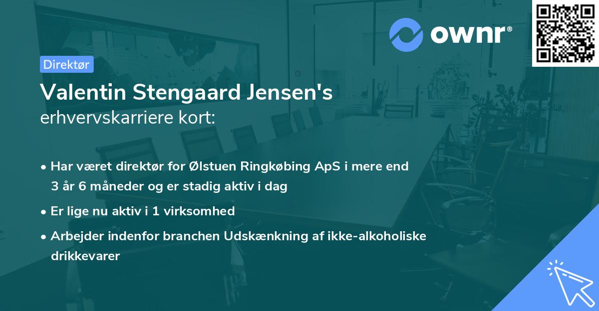 Valentin Stengaard Jensen's erhvervskarriere kort