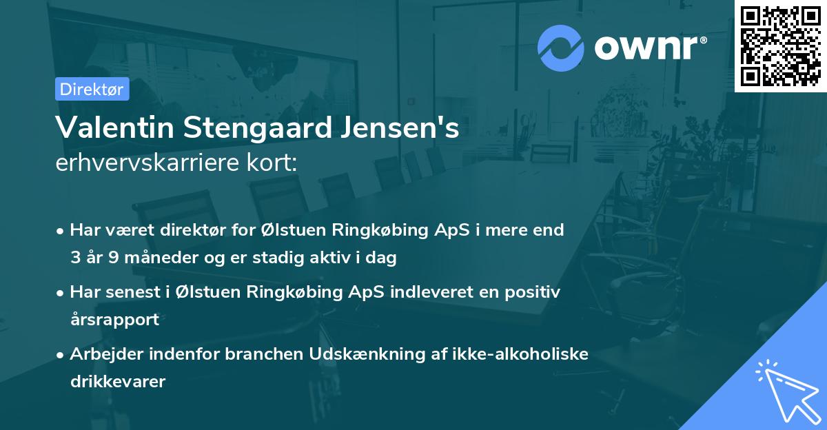 Valentin Stengaard Jensen's erhvervskarriere kort