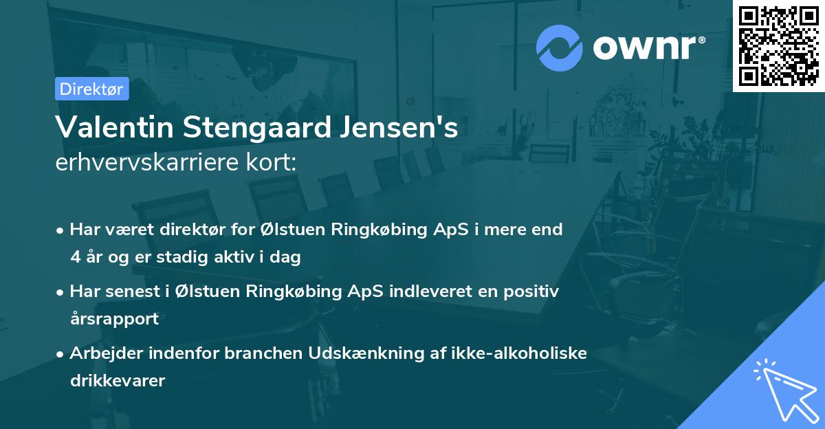 Valentin Stengaard Jensen's erhvervskarriere kort