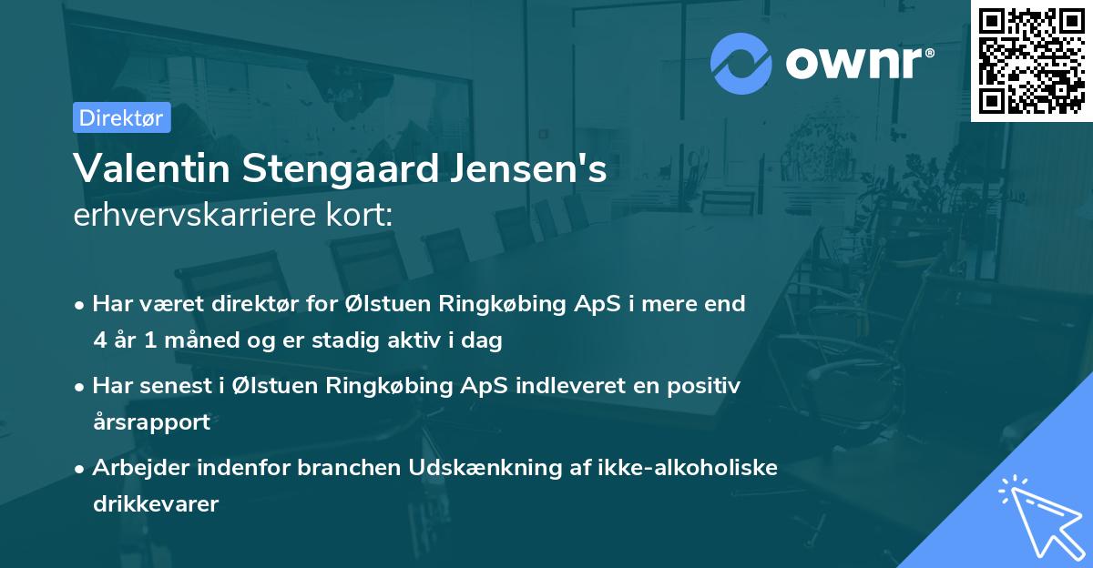 Valentin Stengaard Jensen's erhvervskarriere kort