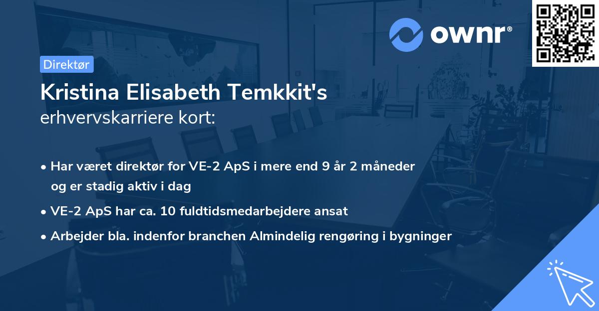 Kristina Elisabeth Temkkit's erhvervskarriere kort