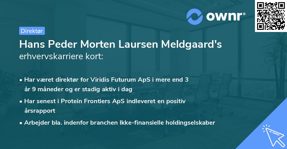 Hans Peder Morten Laursen Meldgaard's erhvervskarriere kort