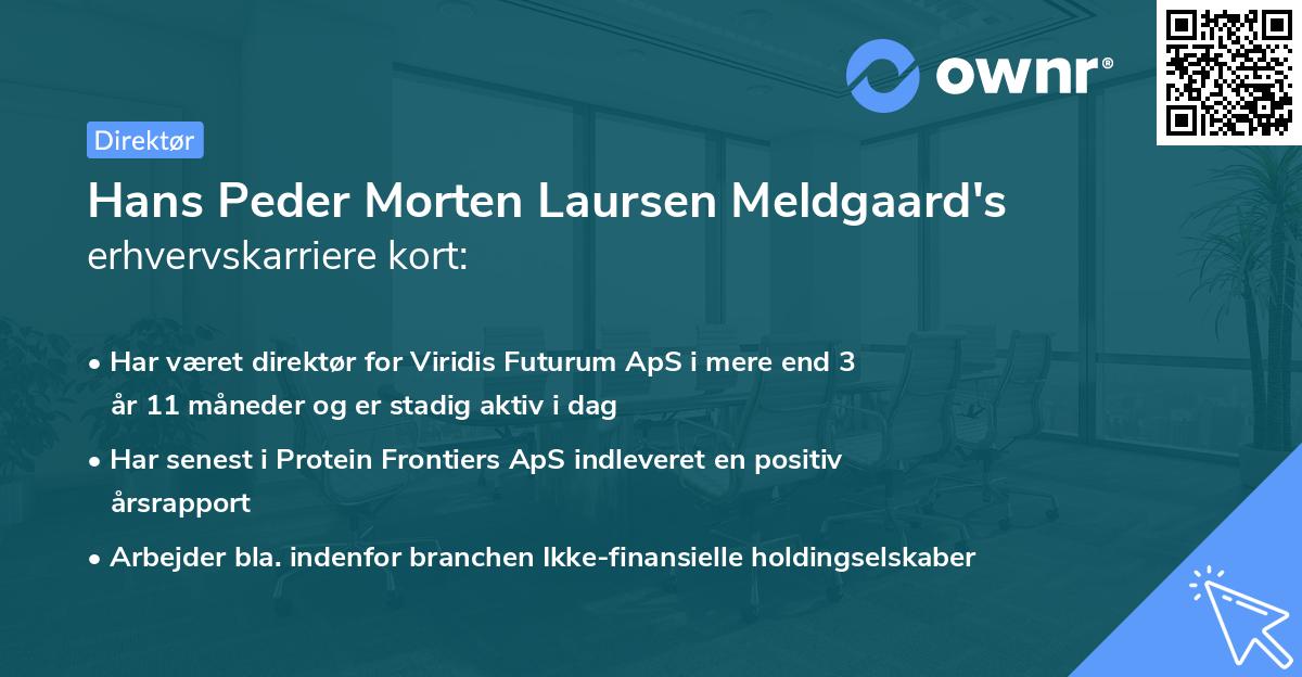 Hans Peder Morten Laursen Meldgaard's erhvervskarriere kort
