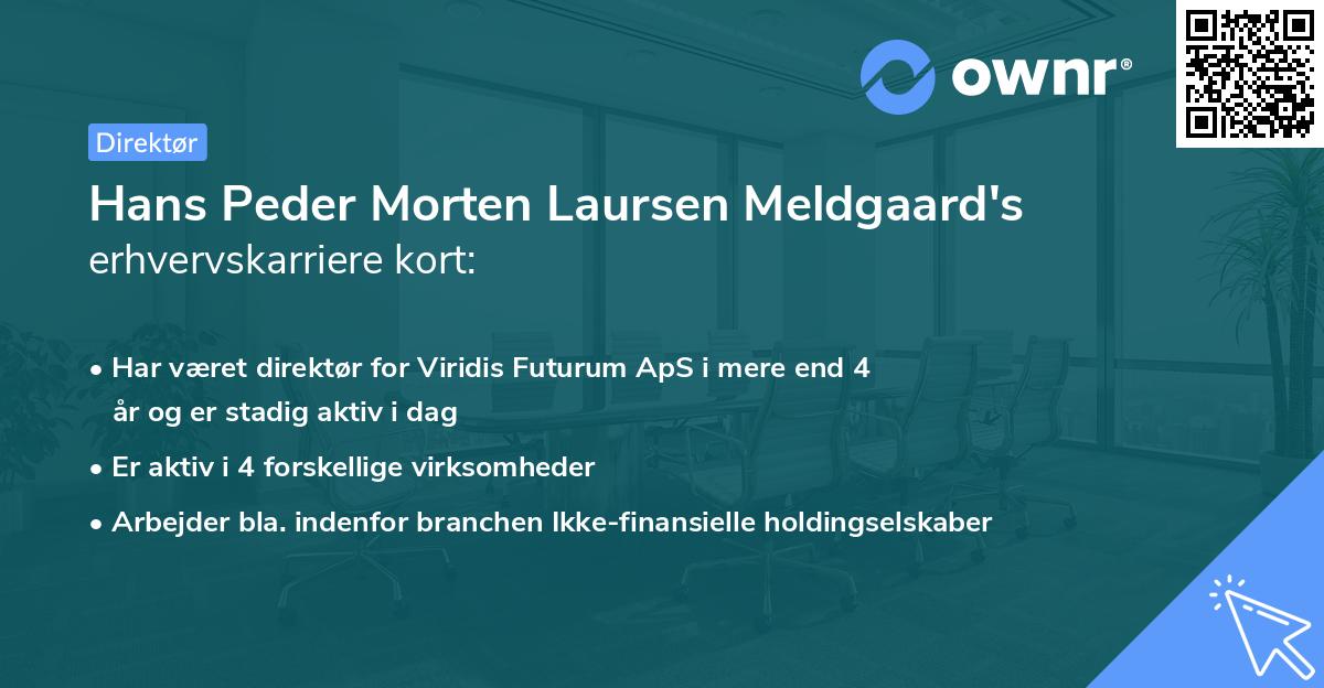 Hans Peder Morten Laursen Meldgaard's erhvervskarriere kort