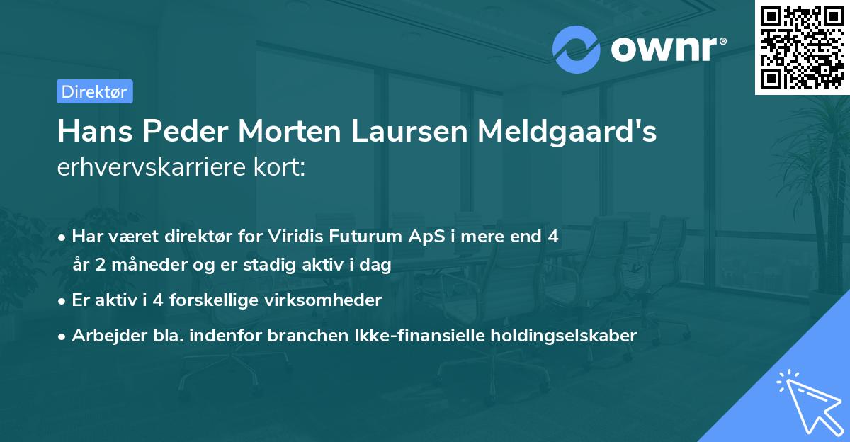 Hans Peder Morten Laursen Meldgaard's erhvervskarriere kort