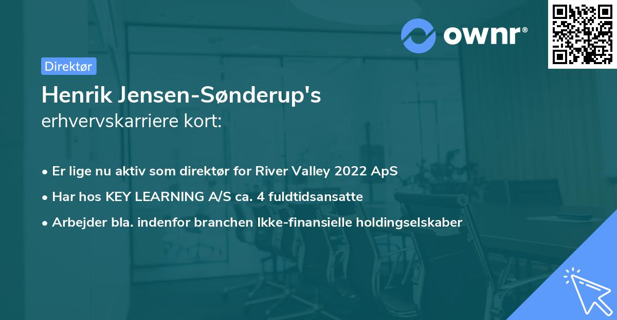 Henrik Jensen-Sønderup's erhvervskarriere kort