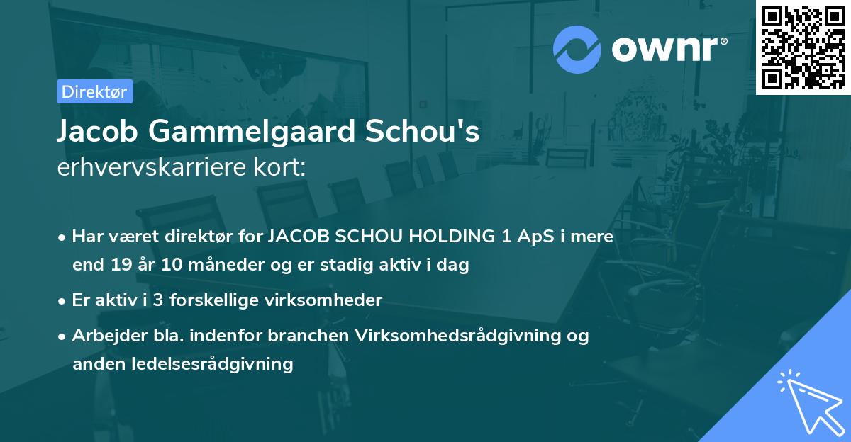Jacob Gammelgaard Schou's erhvervskarriere kort