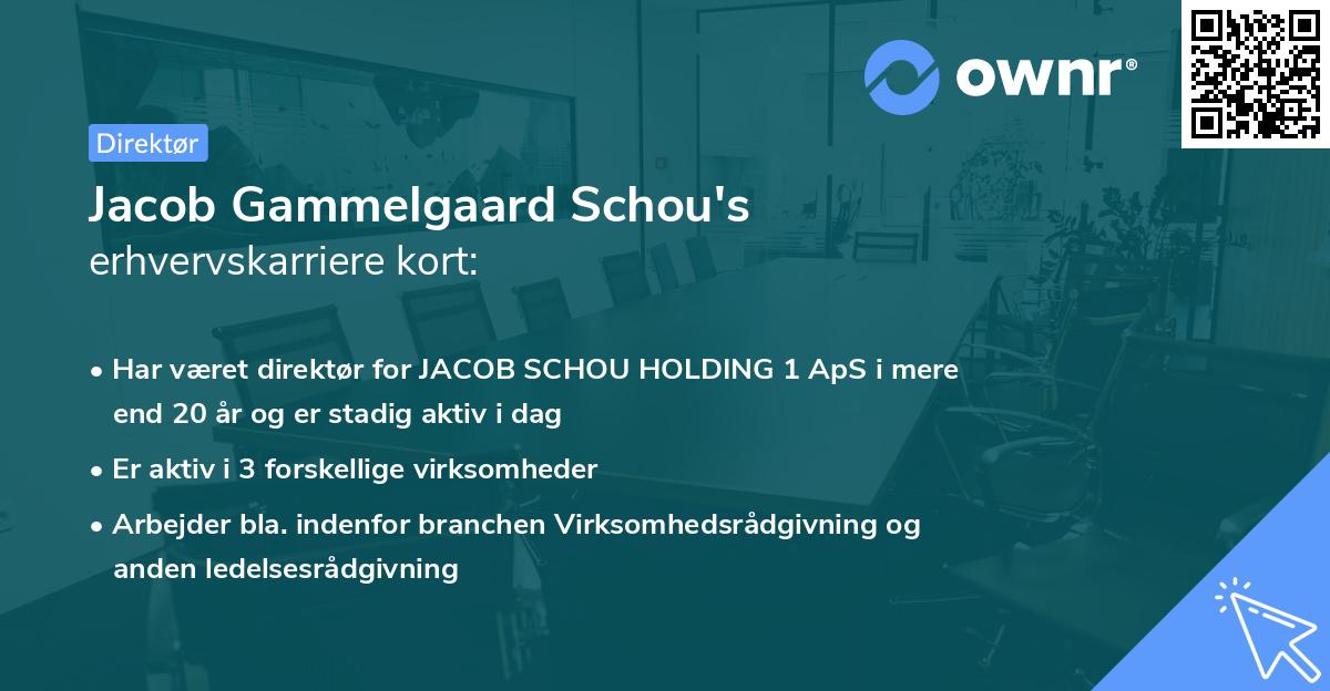 Jacob Gammelgaard Schou's erhvervskarriere kort