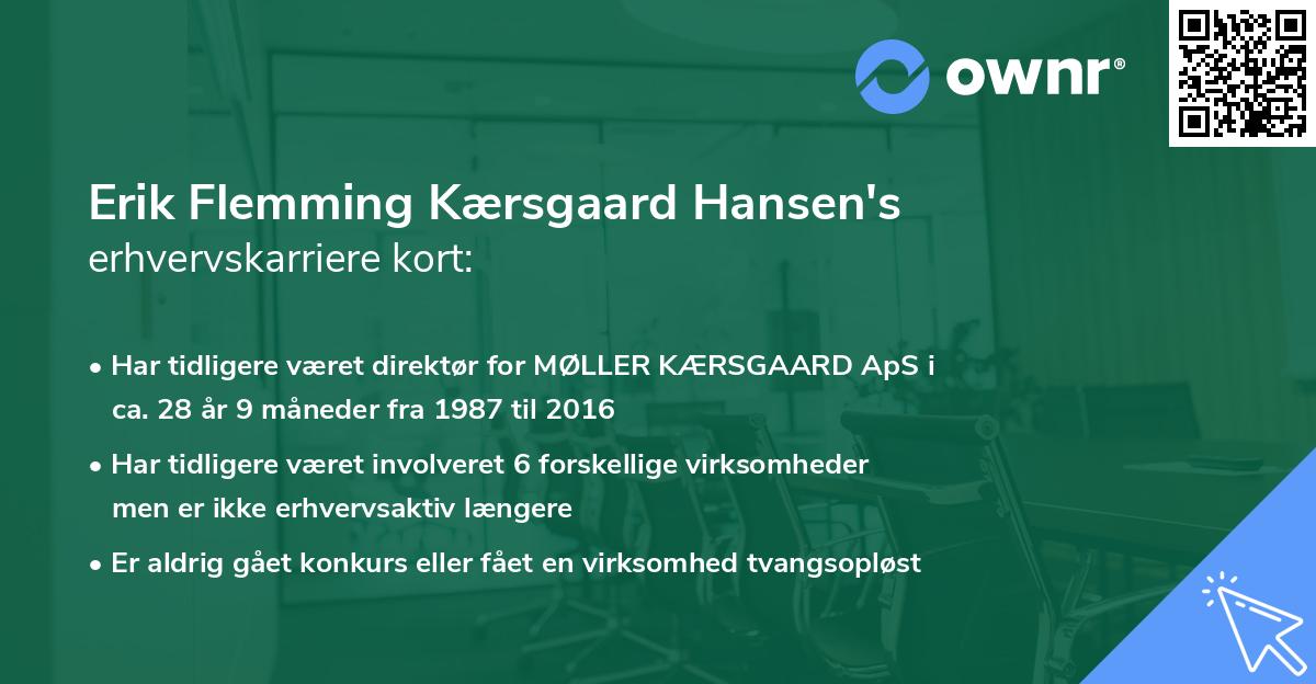 Erik Flemming Kærsgaard Hansen's erhvervskarriere kort
