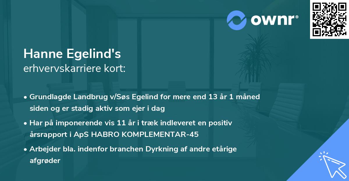 Hanne Egelind's erhvervskarriere kort
