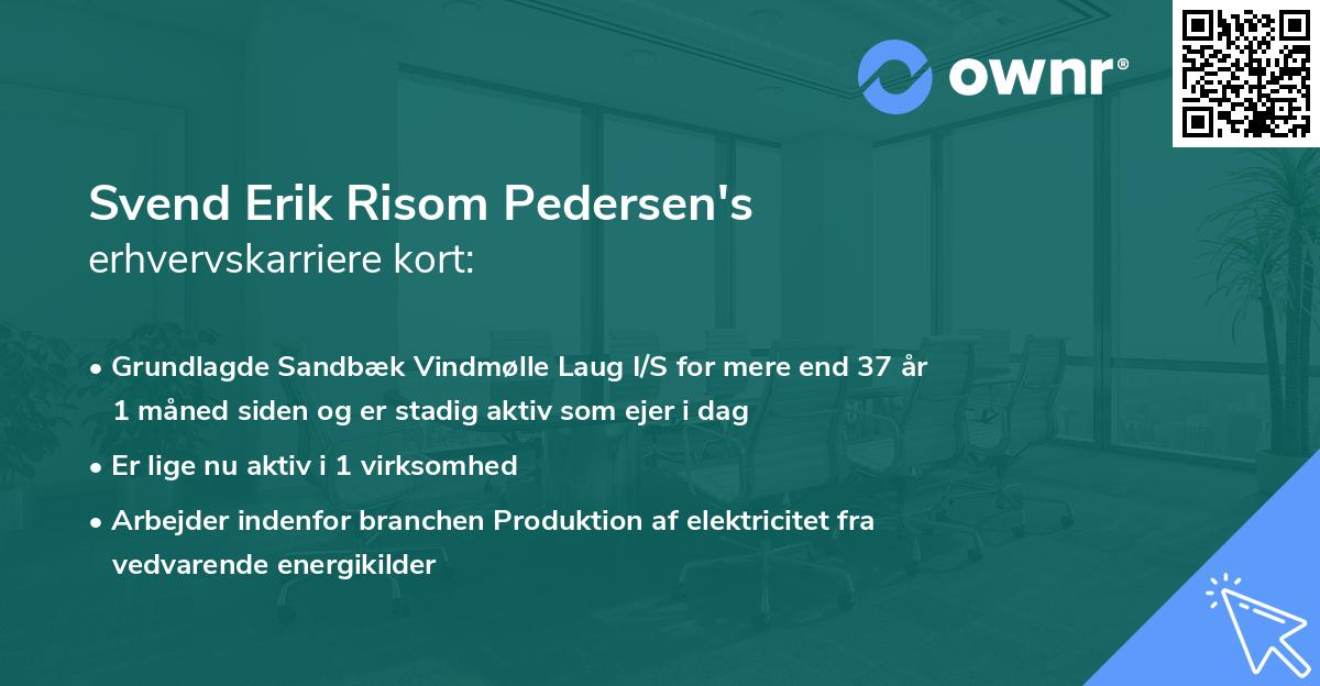 Svend Erik Risom Pedersen's erhvervskarriere kort