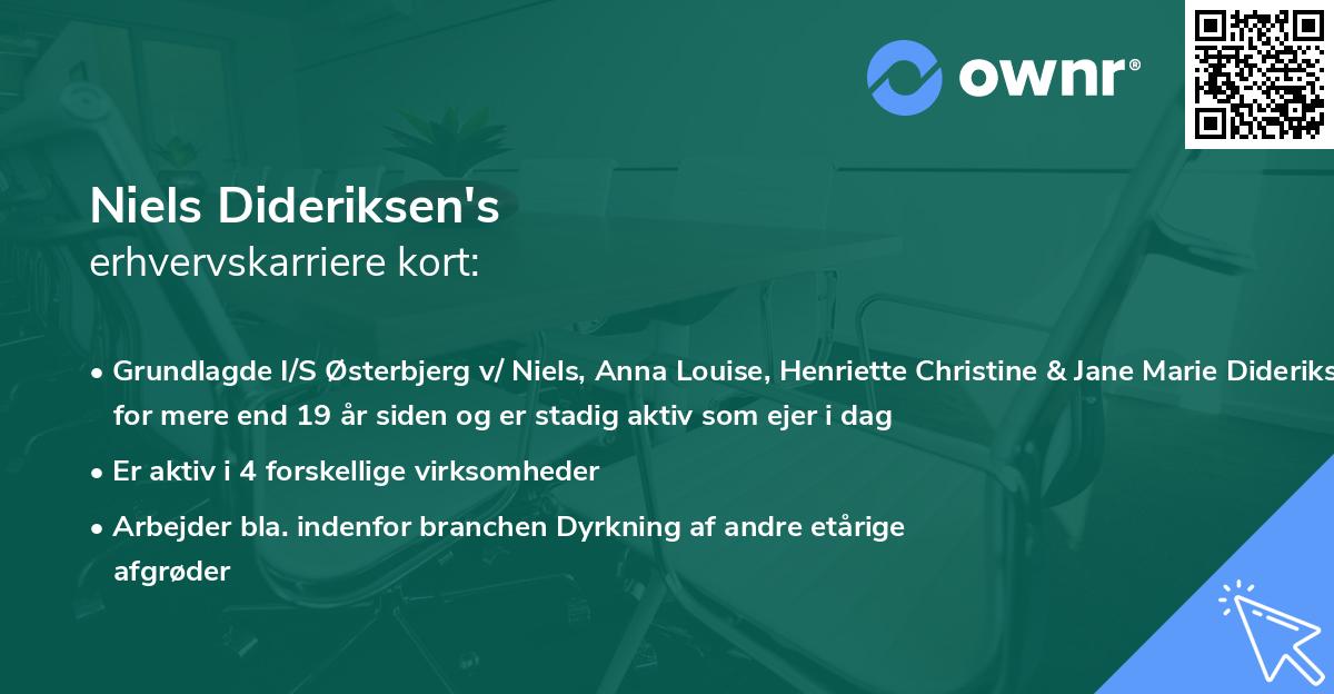 Niels Dideriksen's erhvervskarriere kort