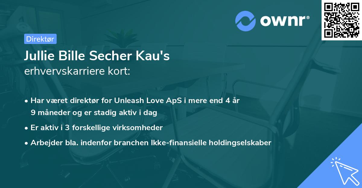 Jullie Bille Secher Kau's erhvervskarriere kort