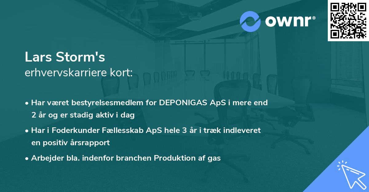 Lars Storm's erhvervskarriere kort