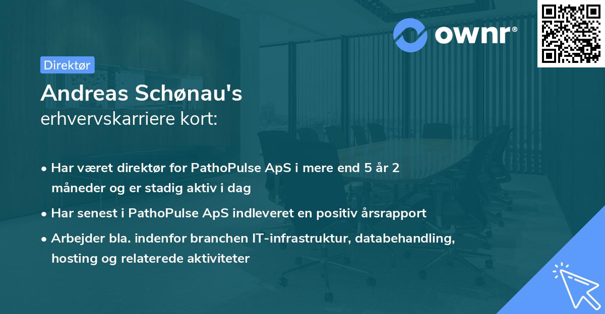 Andreas Schønau's erhvervskarriere kort
