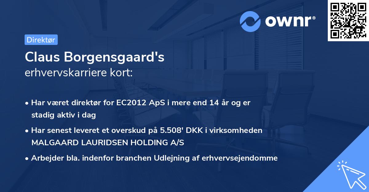 Claus Borgensgaard's erhvervskarriere kort