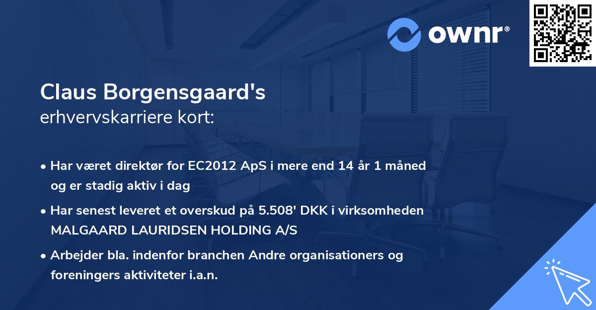 Claus Borgensgaard's erhvervskarriere kort