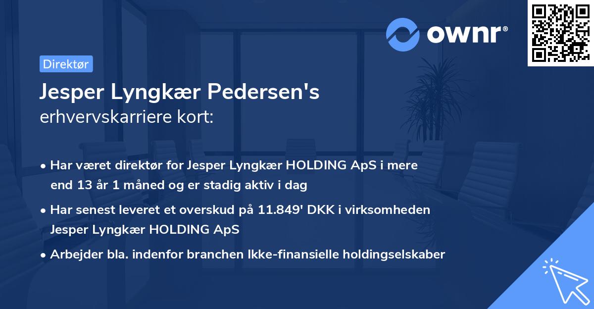 Jesper Lyngkær Pedersen's erhvervskarriere kort