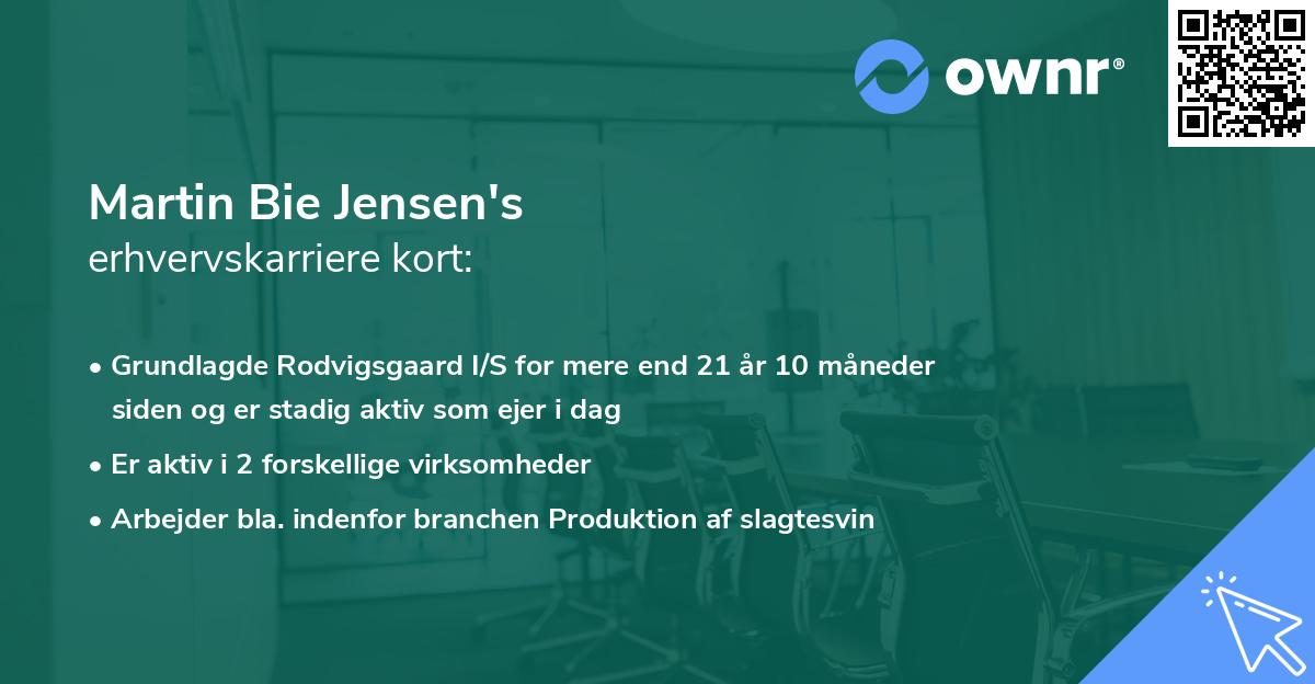 Martin Bie Jensen's erhvervskarriere kort