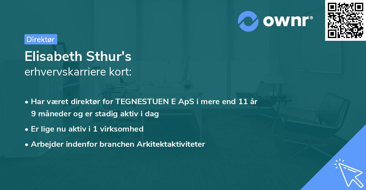 Elisabeth Sthur's erhvervskarriere kort