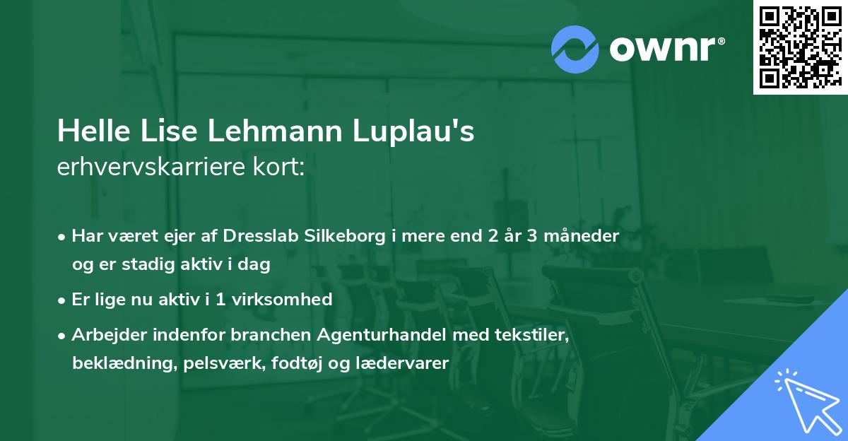Helle Lise Lehmann Luplau's erhvervskarriere kort