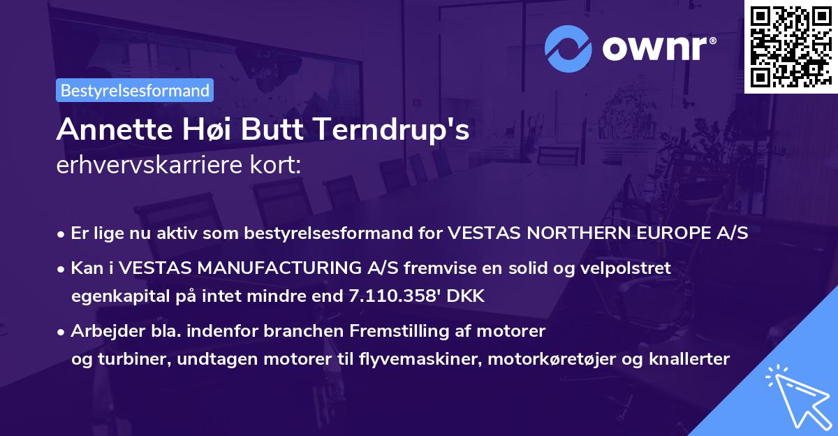 Annette Høi Butt Terndrup's erhvervskarriere kort