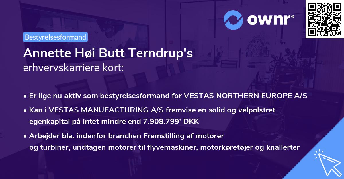 Annette Høi Butt Terndrup's erhvervskarriere kort