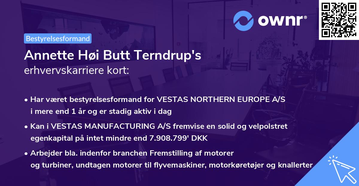 Annette Høi Butt Terndrup's erhvervskarriere kort