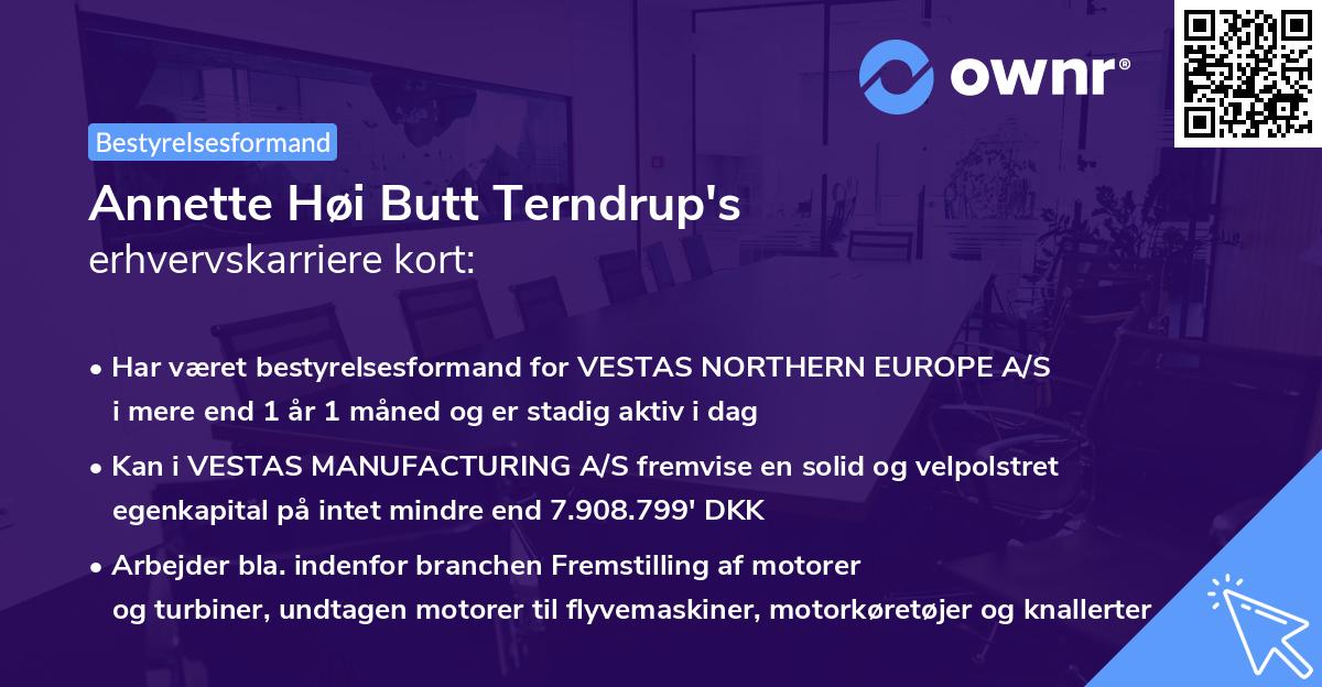 Annette Høi Butt Terndrup's erhvervskarriere kort