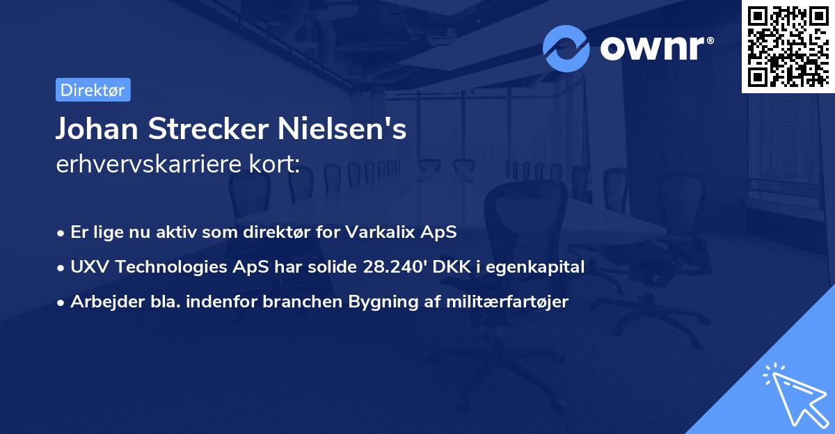 Johan Strecker Nielsen's erhvervskarriere kort