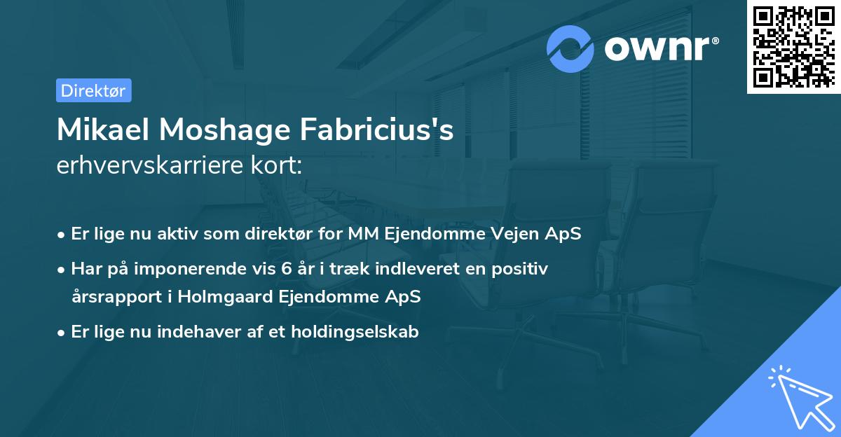 Mikael Moshage Fabricius's erhvervskarriere kort