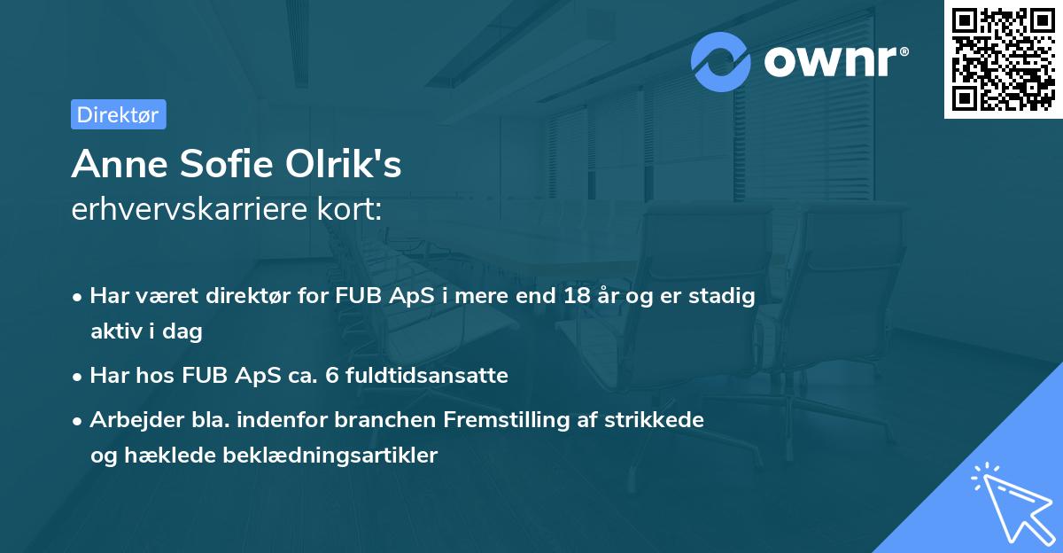 Anne Sofie Olrik's erhvervskarriere kort