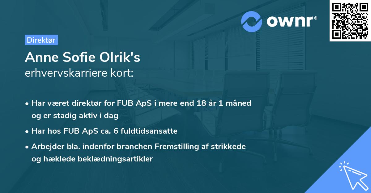 Anne Sofie Olrik's erhvervskarriere kort