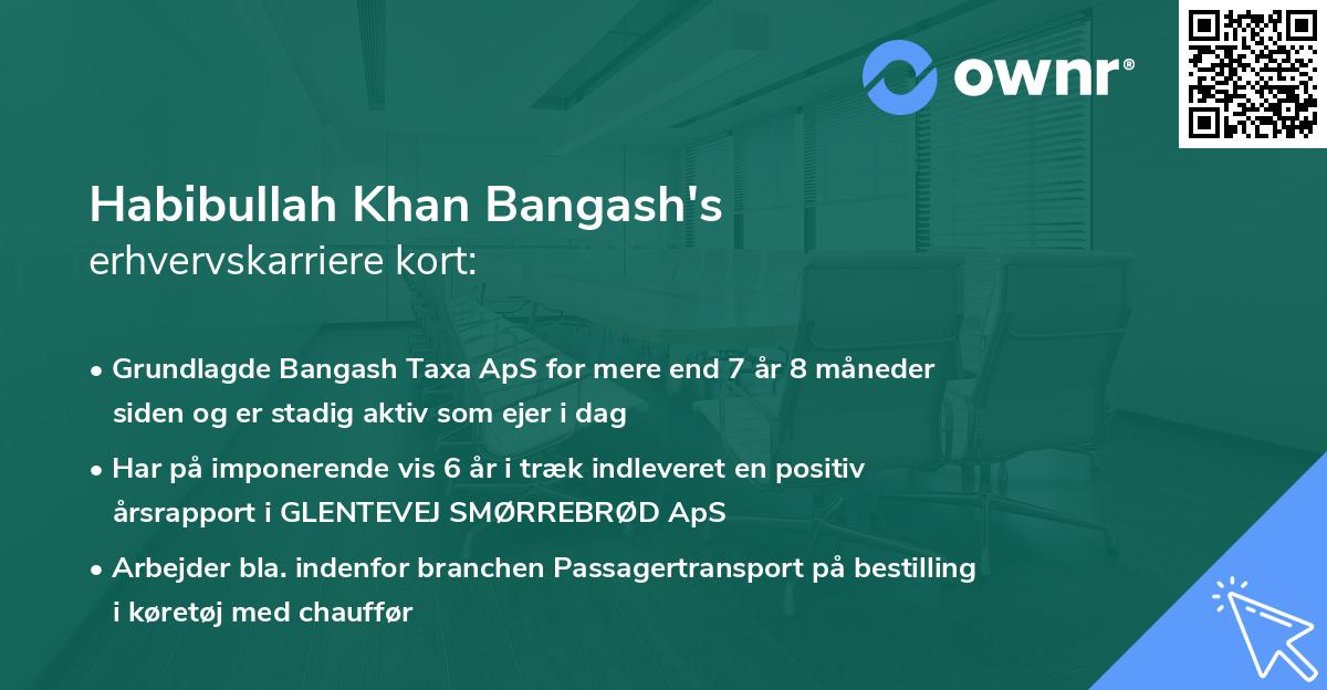 Habibullah Khan Bangash's erhvervskarriere kort
