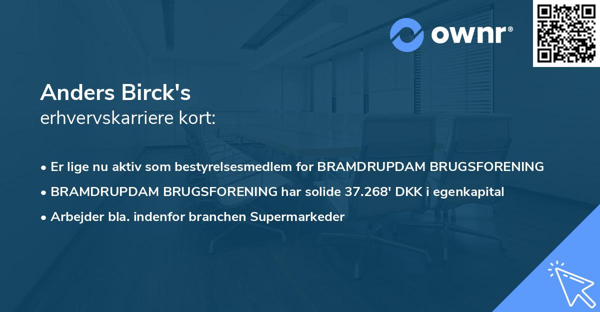 Anders Birck's erhvervskarriere kort