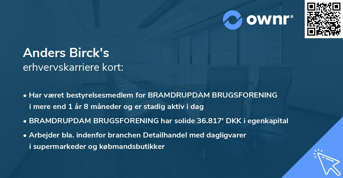 Anders Birck's erhvervskarriere kort