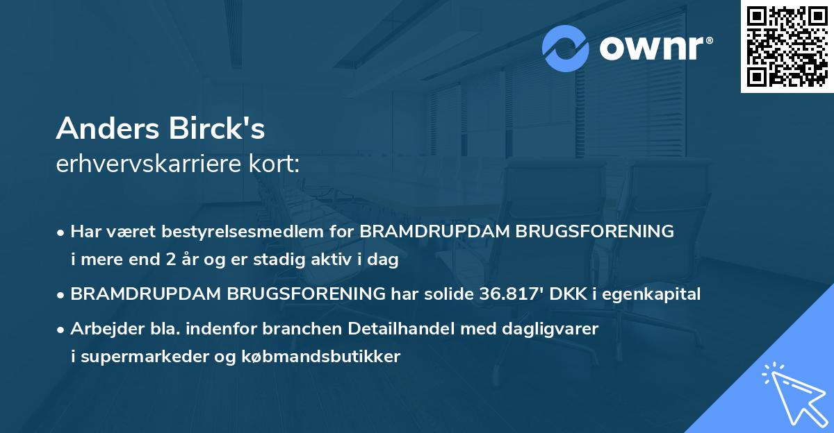 Anders Birck's erhvervskarriere kort