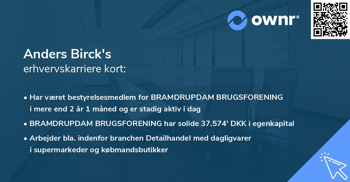 Anders Birck's erhvervskarriere kort
