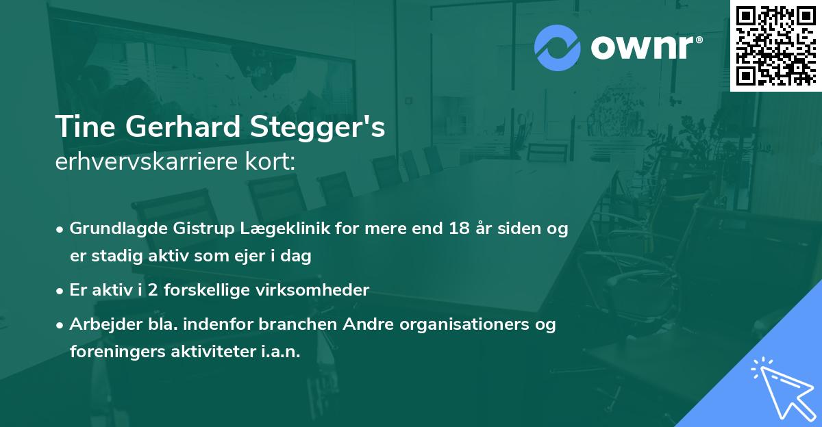 Tine Gerhard Stegger's erhvervskarriere kort