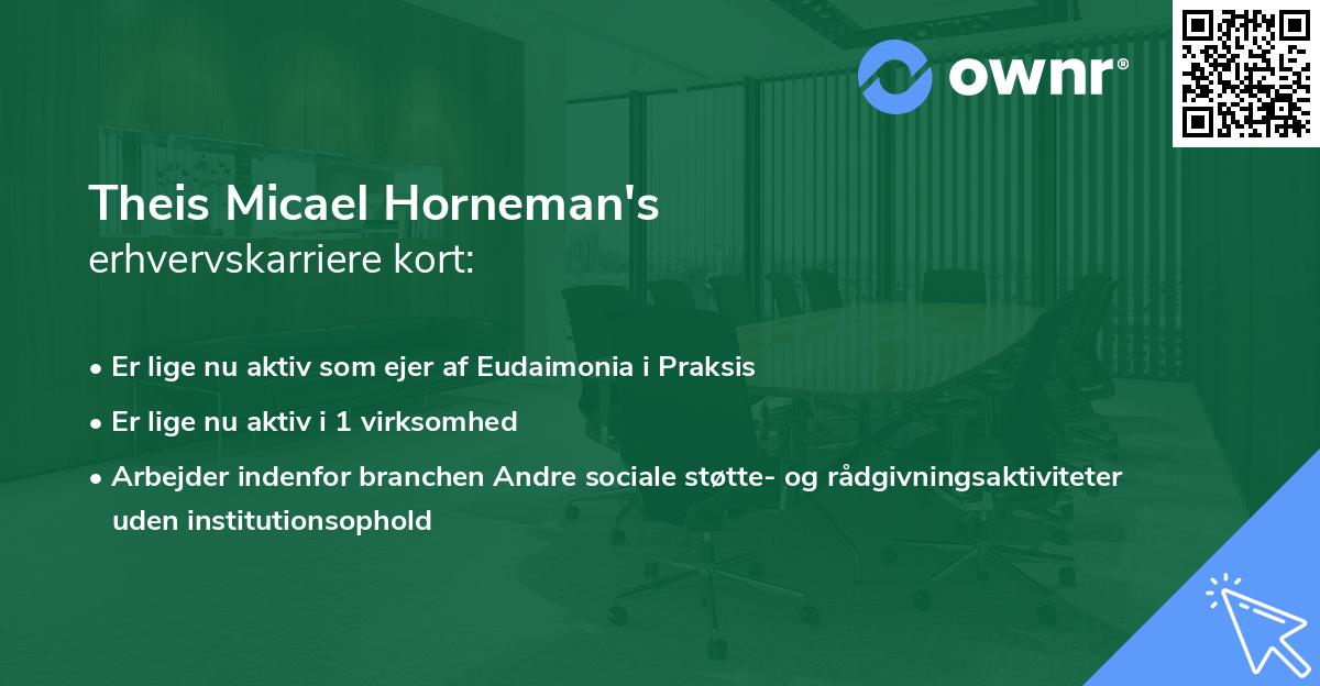 Theis Micael Horneman's erhvervskarriere kort