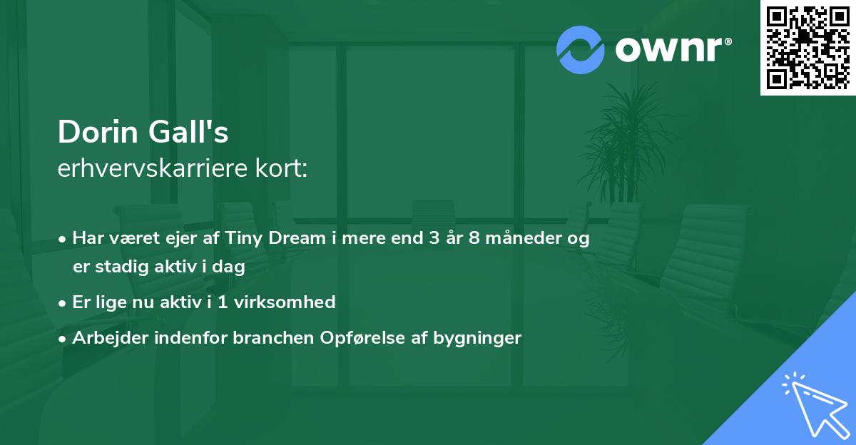 Dorin Gall's erhvervskarriere kort