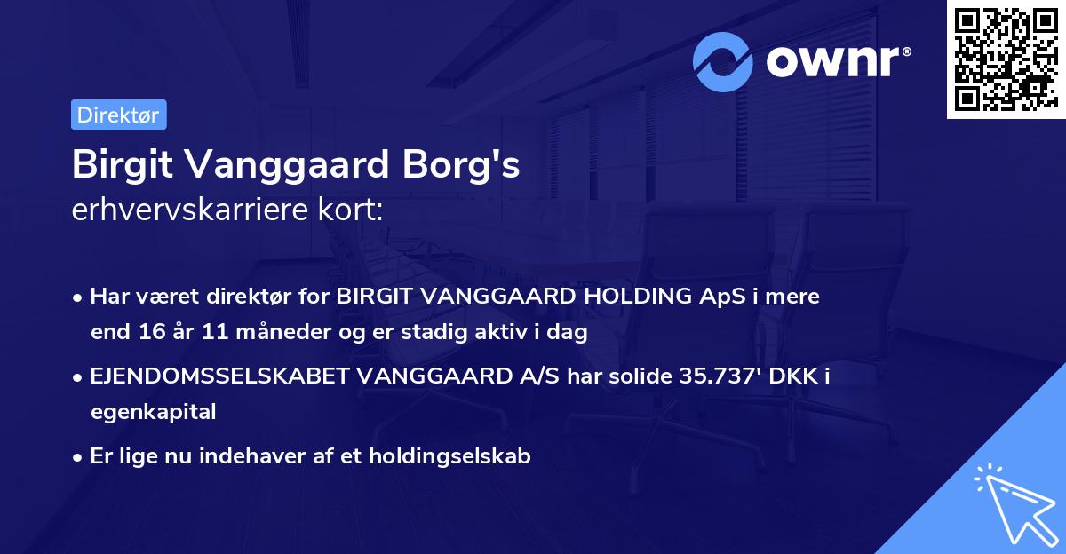 Birgit Vanggaard Borg's erhvervskarriere kort