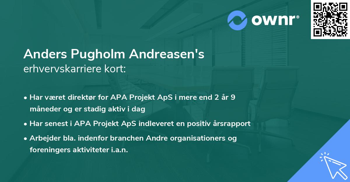 Anders Pugholm Andreasen's erhvervskarriere kort
